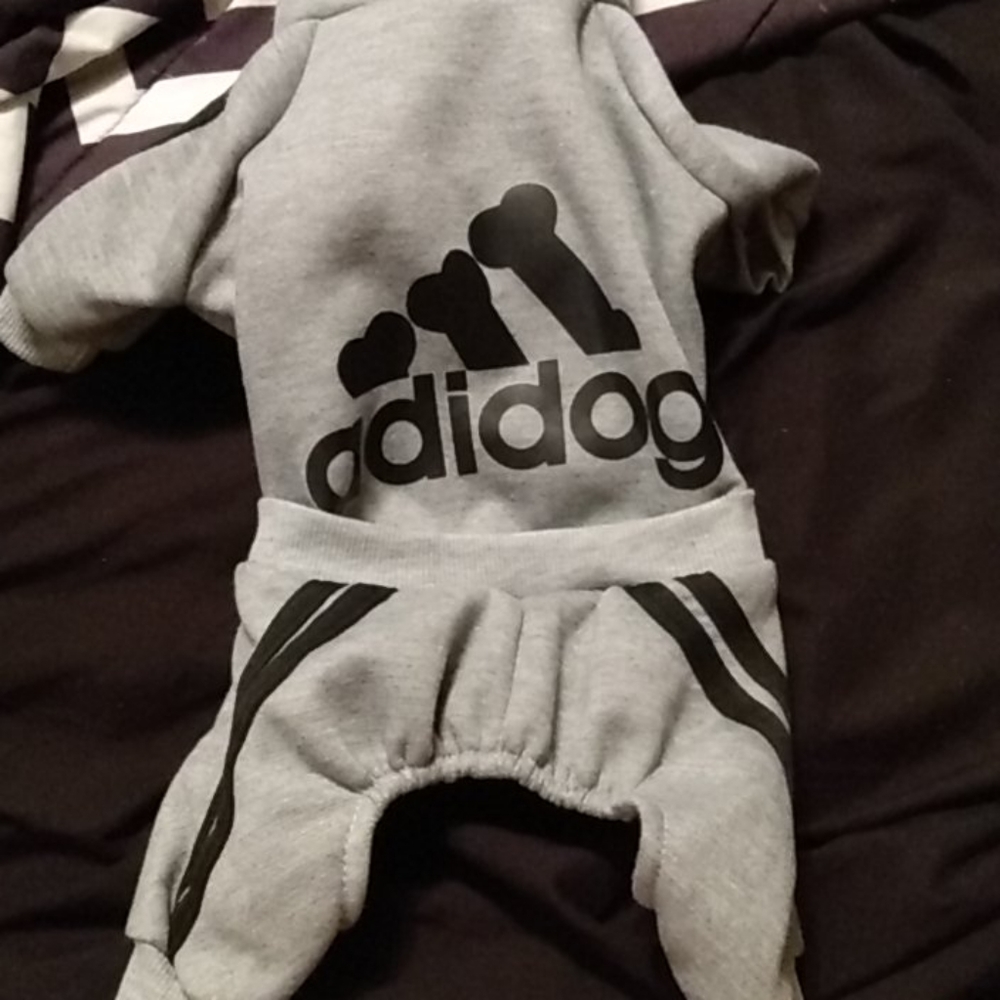 Adidog Puppy Outfit
